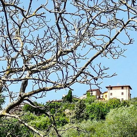 Semesterbostad Antica Casa In Collina Con Vasta Terrazza E Panorama Sul Mare